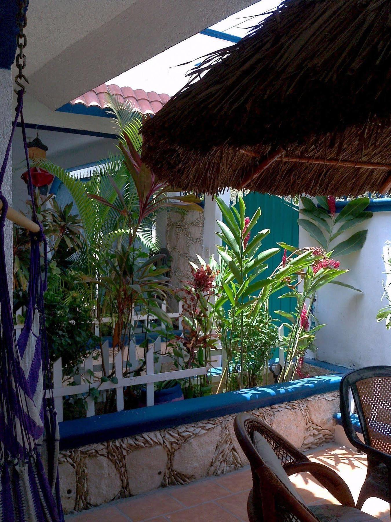 Alicia'S Bed & Breakfast Cozumel Exterior foto
