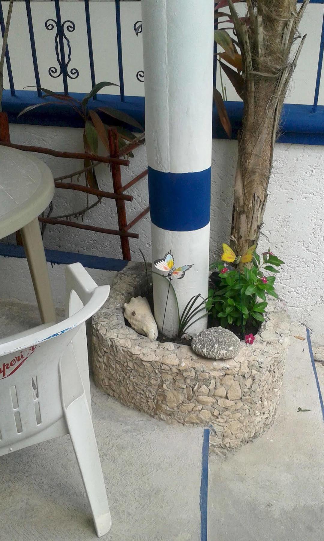 Alicia'S Bed & Breakfast Cozumel Exterior foto