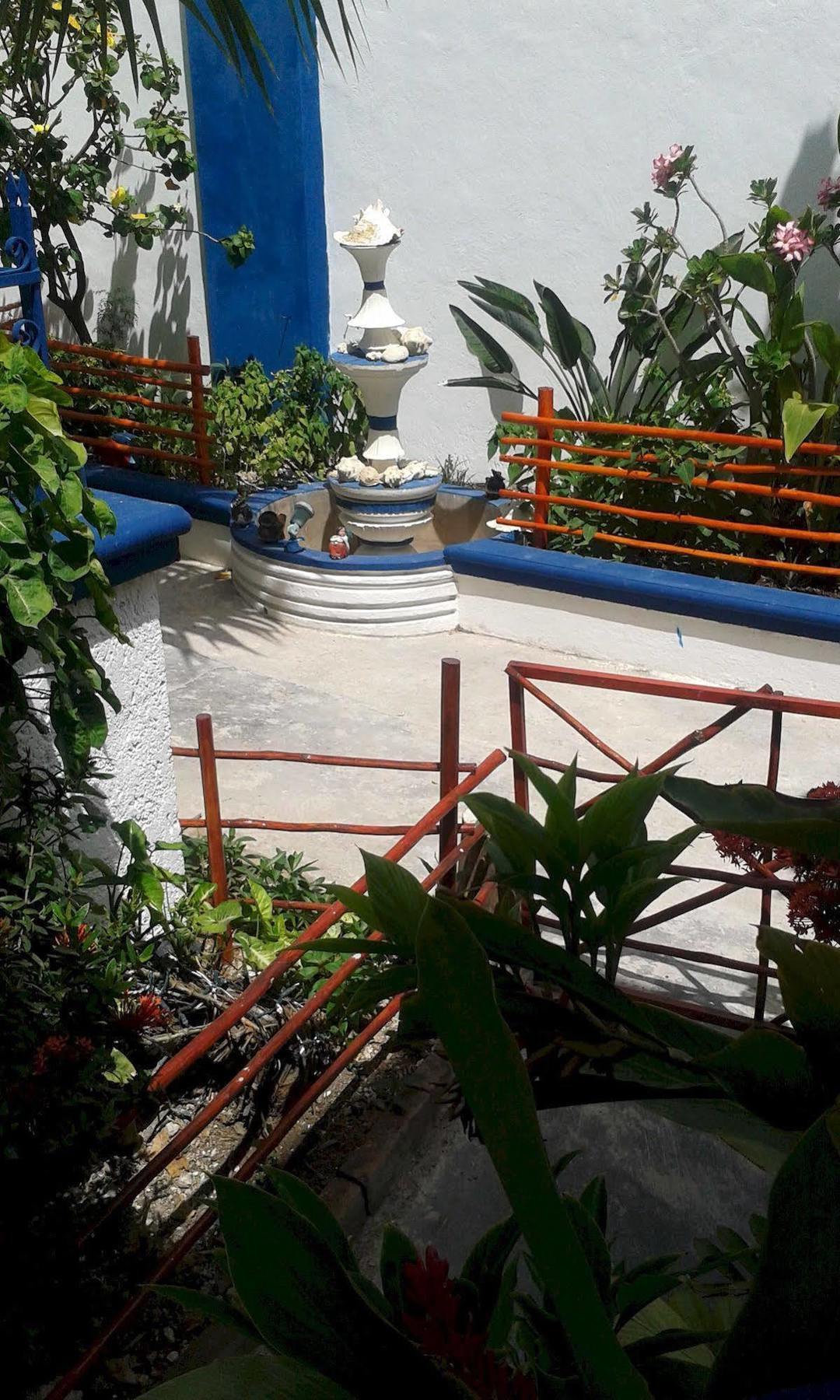 Alicia'S Bed & Breakfast Cozumel Exterior foto
